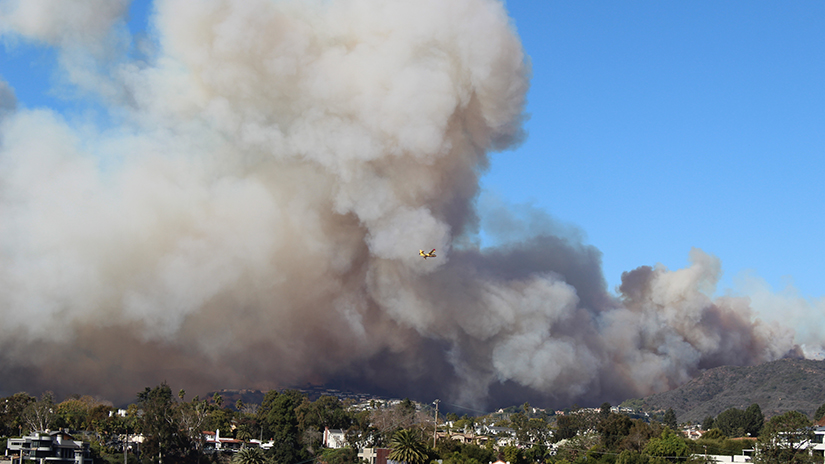 Palisades fire - photo by Bill Selby
